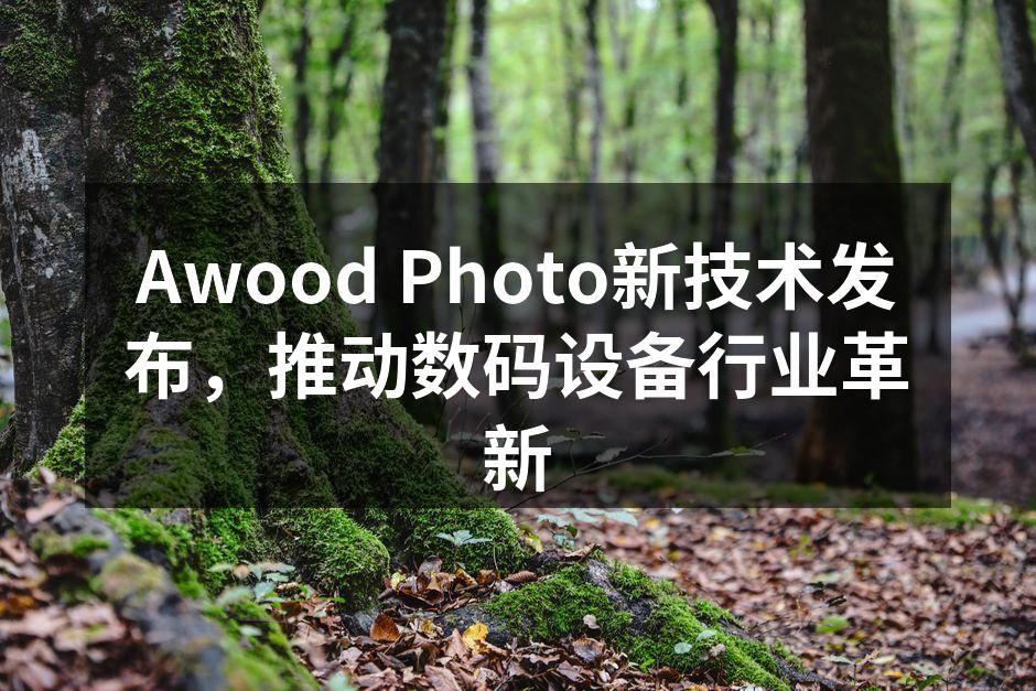 Awood Photo新技术发布会现场