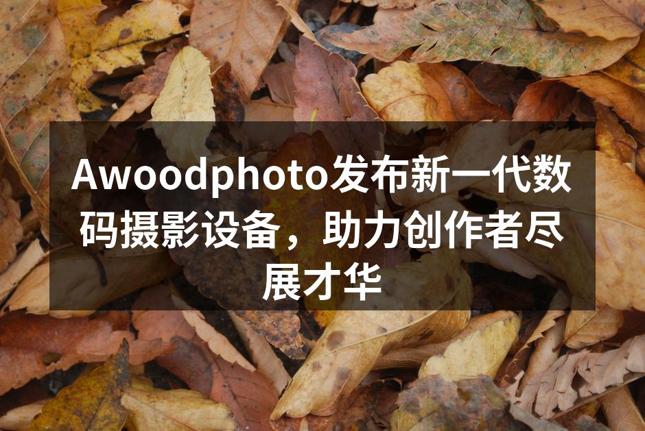 Awoodphoto新一代数码摄影设备发布会现场